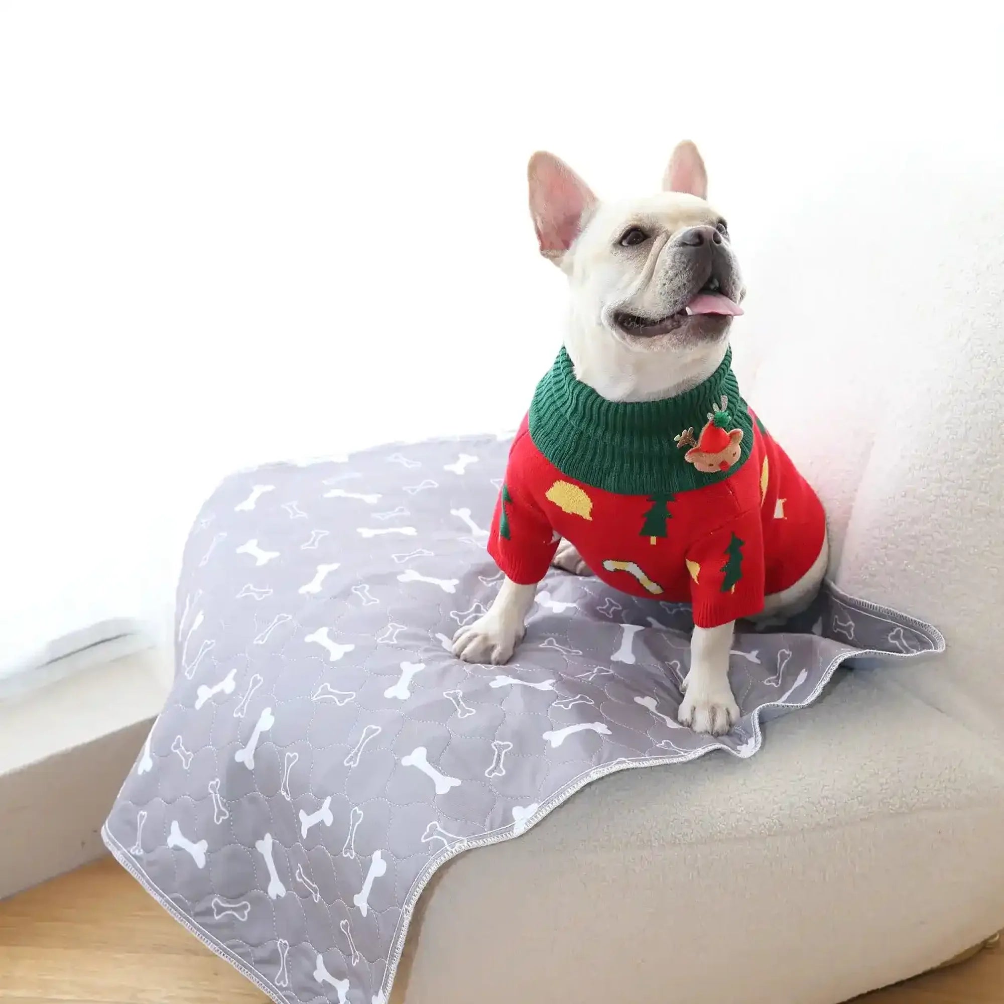 Pettio - L'ultimo tappetino assorbente che comprerai